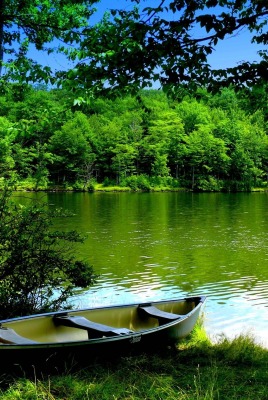 Лодка на берегу зеленого озера