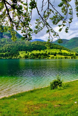 Зеленое озеро с горами