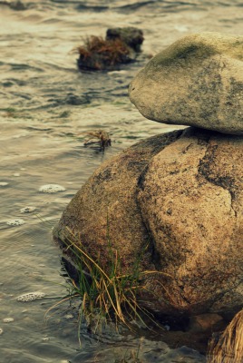 Камни в реке