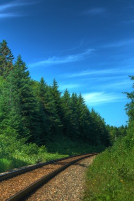 Железная дорога через зеленый лес