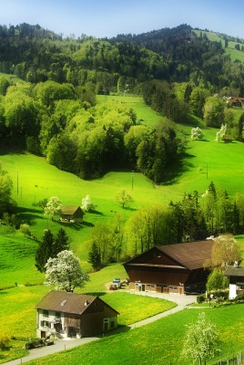 зеленые холмы с домами