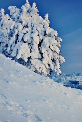 снежные горы на закате