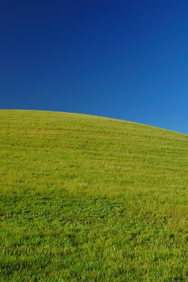 Зеленый травяной холм