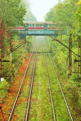 электричка, рельсы, деревья