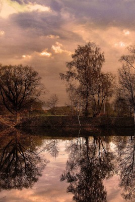 отражение деревьев на закате