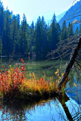 Нетронутая природа озеро лес