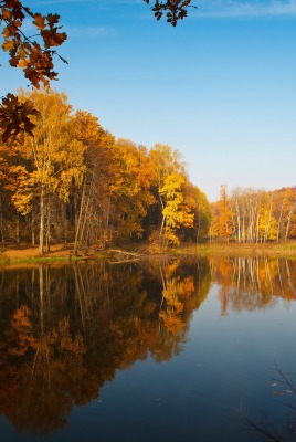 Озеро осень лес