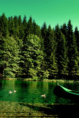 природа лодка деревья озеро