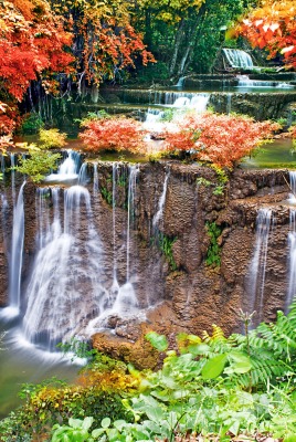 природа водопады деревья листья