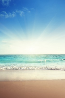 природа солнечный свет солнце море пляж песок горизонт