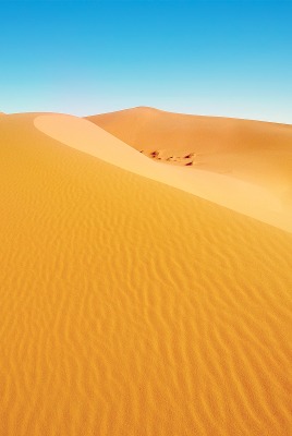 природа пустыня песок