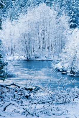 Зима иней снег речка
