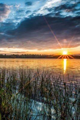 природа облака трава солнце солнечный свет озеро вода