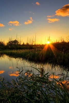 природа озеро солнце закат деревья