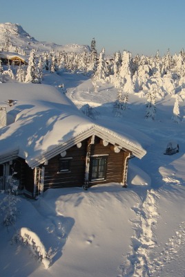 природа снег зима деревья дом