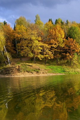 природа деревья река