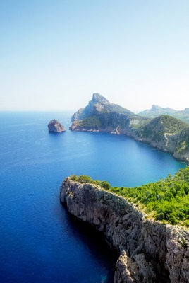 природа море деревья скалы nature sea trees rock