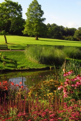 природа трава река цветы деревья парк nature grass river flowers trees Park