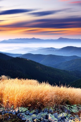 природа горы небо трава nature mountains the sky grass