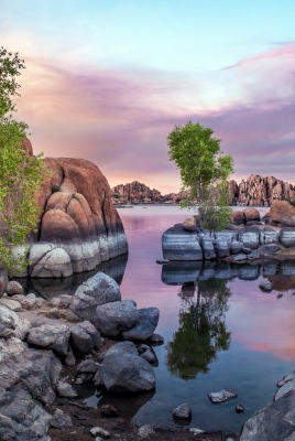 природа камни река деревья nature stones river trees