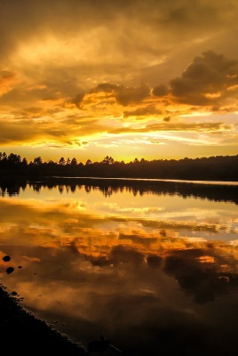 природа озеро деревья облака отражение nature the lake trees clouds reflection