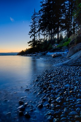 природа море деревья камни вечер nature sea trees stones evening