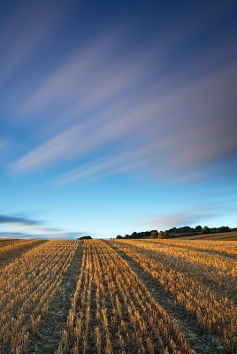 природа поле горизонт небо nature field horizon the sky