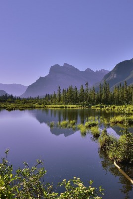 природа озеро деревья горы nature the lake trees mountains