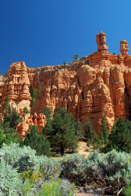 природа скалы деревья nature rock trees