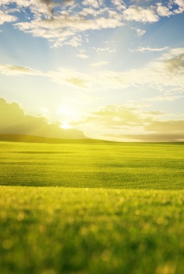 природа поле небо облака солнце nature field the sky clouds sun