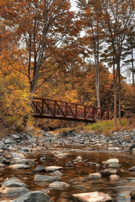 природа камни лес деревья мост река nature stones forest trees the bridge river