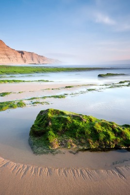 камень мох вода stone moss water