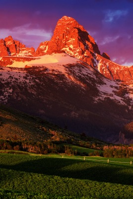 природа горы скалы трава деревья nature mountains rock grass trees