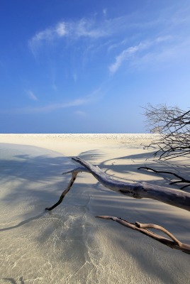 природа море берег горизонт nature sea shore horizon