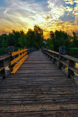 природа мост деревья река облака nature the bridge trees river clouds