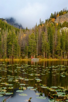 природа деревья озеро горы скалы nature trees the lake mountains rock