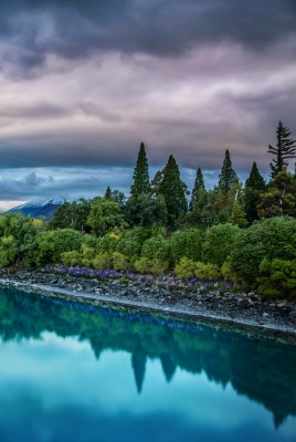 природа река деревья небо облака nature river trees the sky clouds