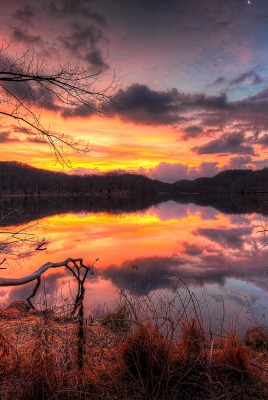 природа озеро отражение деревья облака небо nature the lake reflection trees clouds sky