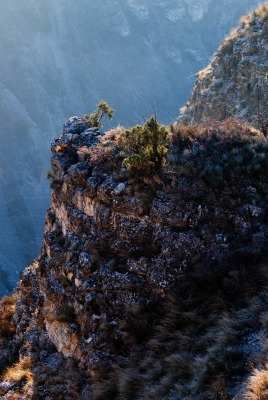 природа скалы горы трава nature rock mountains grass