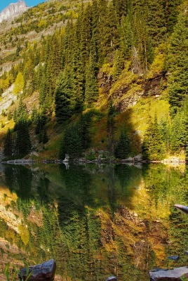 природа скалы горы деревья лес отражение река nature rock mountains trees forest reflection river