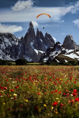 природа горы скалы поле трава парашют nature mountains rock field grass parachute