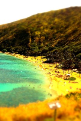 природа море пляж берег nature sea the beach shore