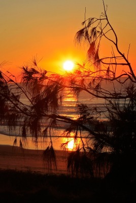 природа море горизонт солнце побережье nature sea horizon the sun coast