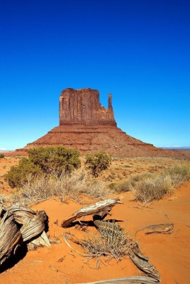 природа пустыня большой каньон nature desert great canyon