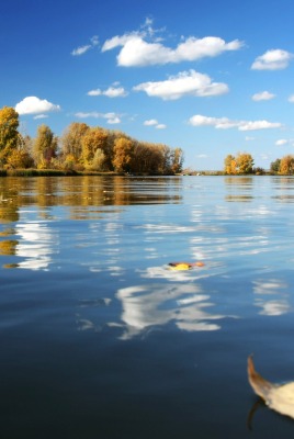 вода озеро осень water the lake autumn