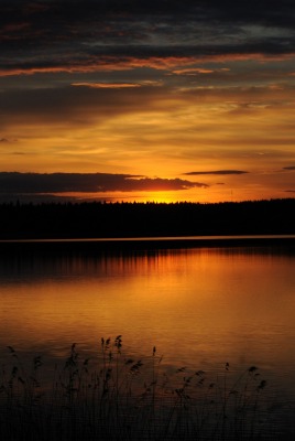 природа закат озеро деревья небо nature sunset the lake trees sky