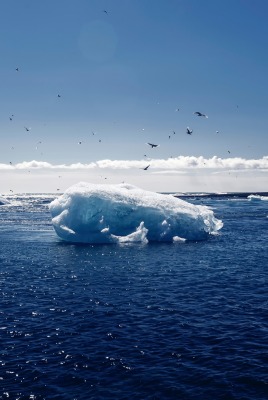 Айсберг море вода