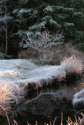 речка иней the river frost