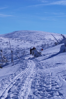 природа горизонт снег nature horizon snow