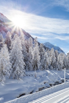 снег зима солнце горы snow winter the sun mountains